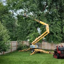 Best Tree Planting Services  in Brandermill, VA